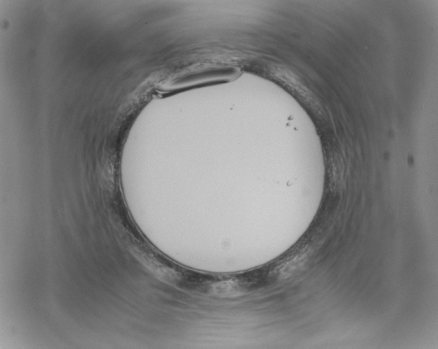 X0000069390309200606021638