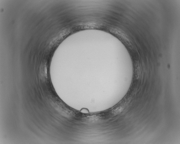 X0000069390310200606021638