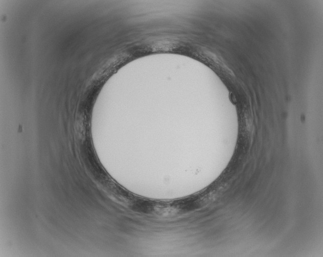 X0000069390311200606021638