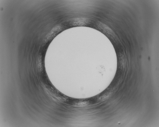 X0000069390312200606021638