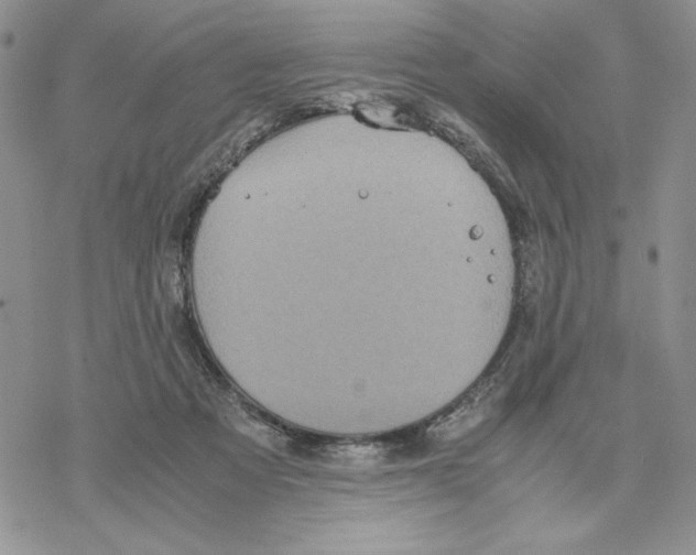 X0000069390313200606021638