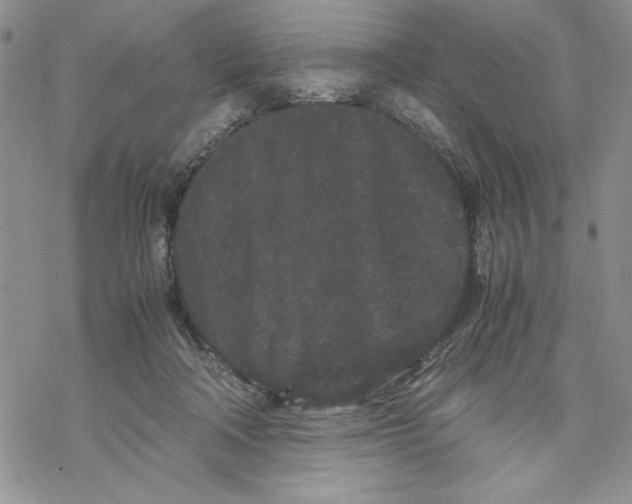 X0000069390314200606021638