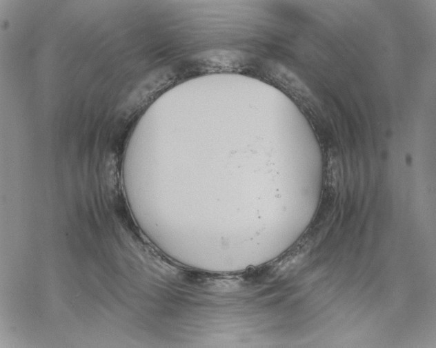 X0000069390318200606021638