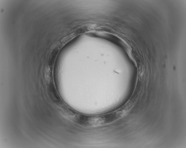 X0000069390319200606021638