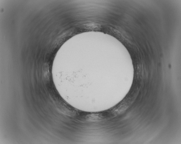 X0000069390320200606021638