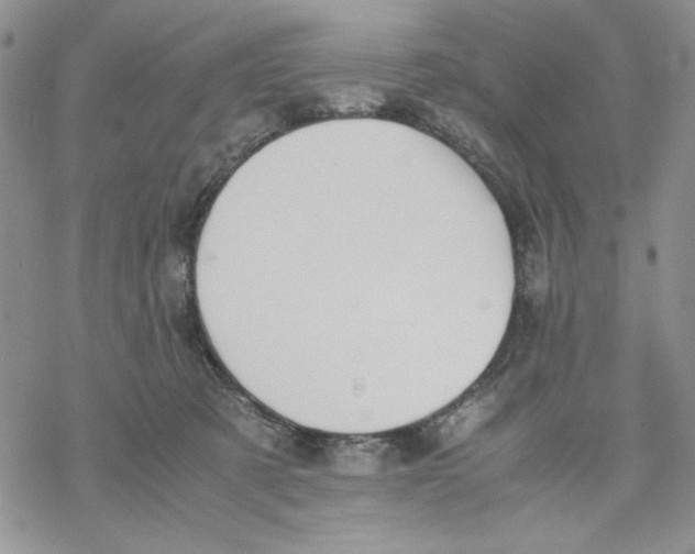 X0000069390321200606021638