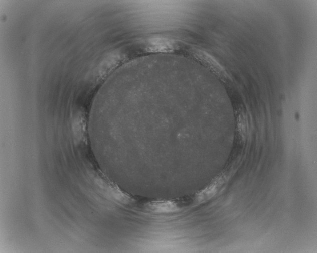 X0000069390322200606021638