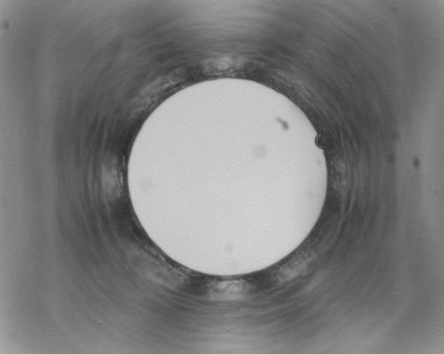 X0000069390324200606021638