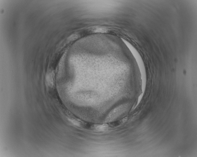 X0000069390325200606021638