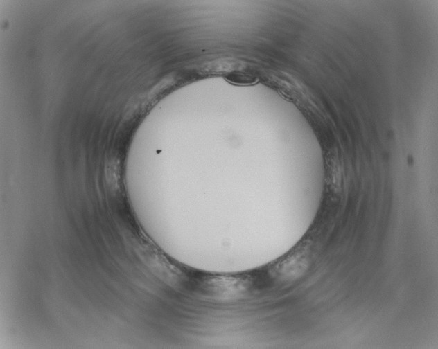 X0000069390326200606021638