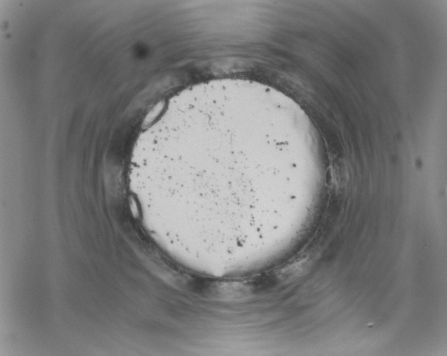 X0000069390327200606021638