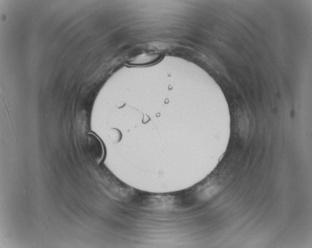 X0000069390328200606021638