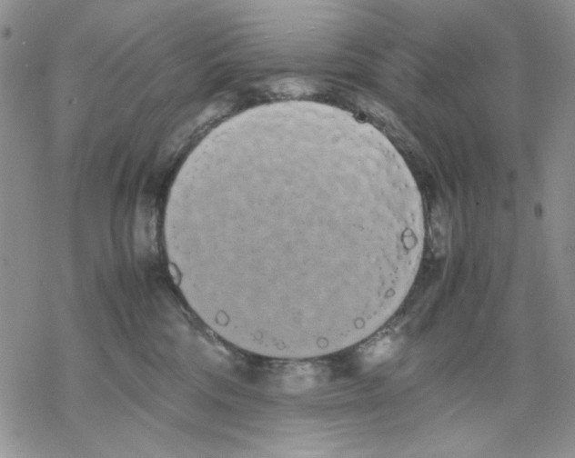 X0000069390330200606021638