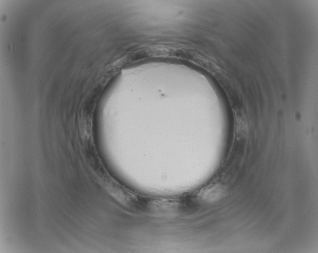 X0000069390331200606021638