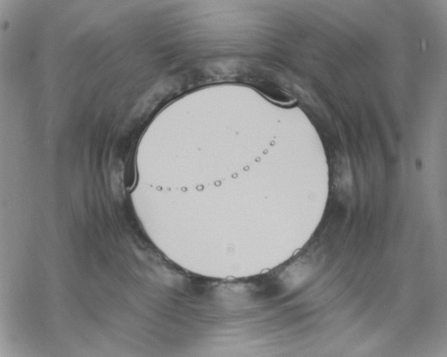 X0000069390332200606021638