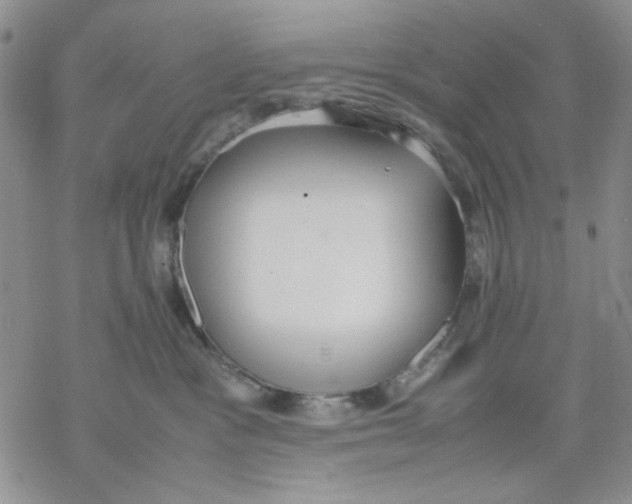 X0000069390333200606021638