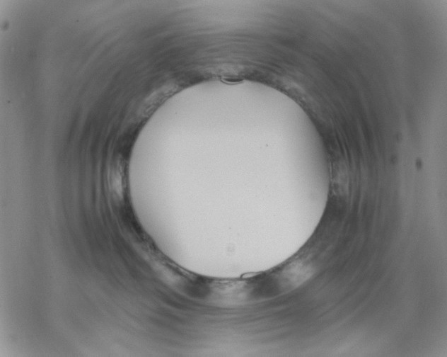 X0000069390334200606021638