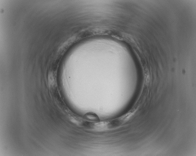 X0000069390335200606021638