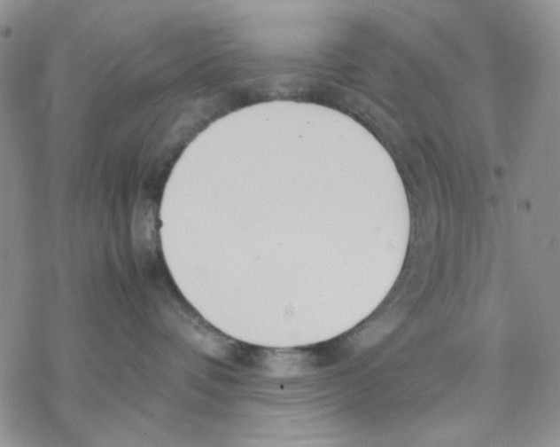 X0000069390336200606021638