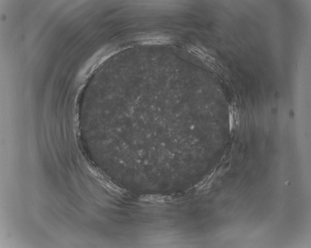 X0000069390339200606021637