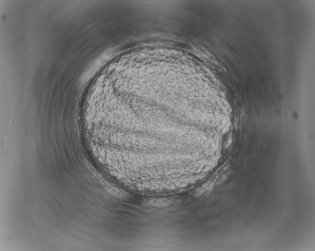 X0000069390341200606021637