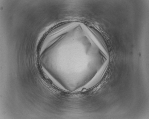 X0000069390342200606021637