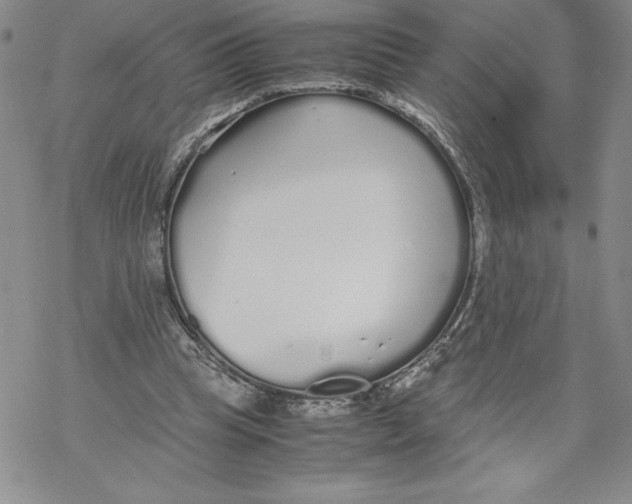 X0000069390345200606021637