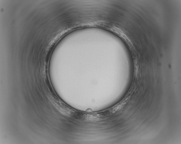 X0000069390346200606021637