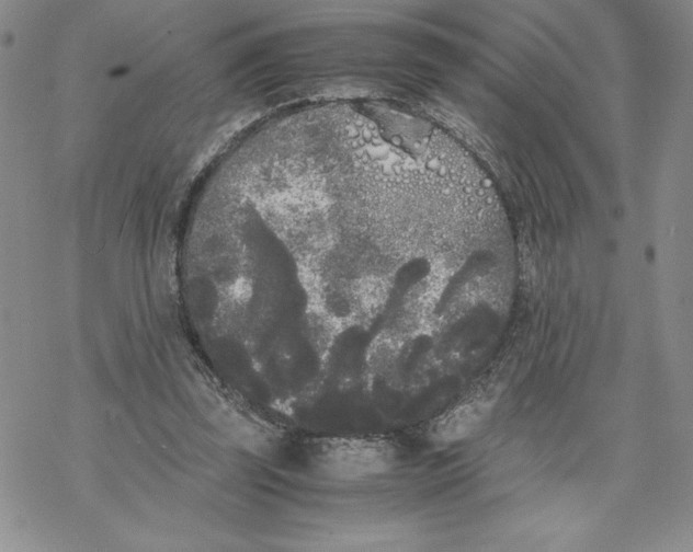 X0000069390347200606021637