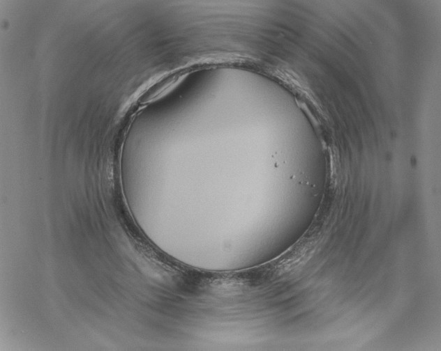 X0000069390348200606021637