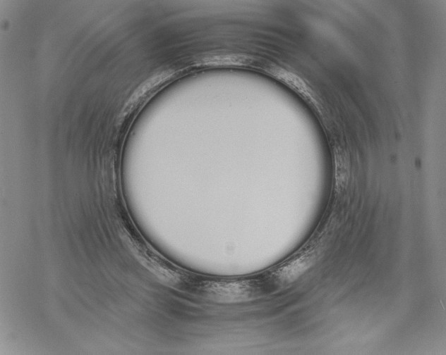 X0000069390349200606021637