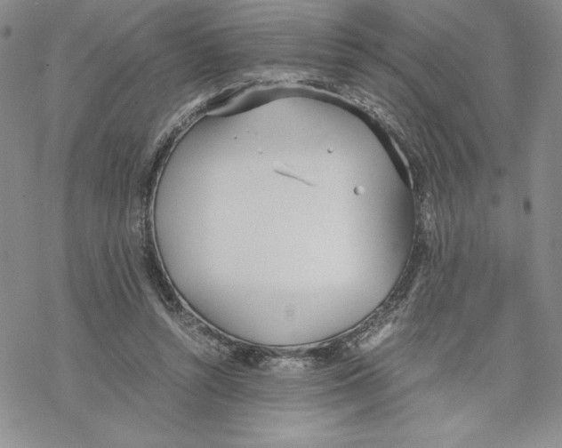 X0000069390352200606021637