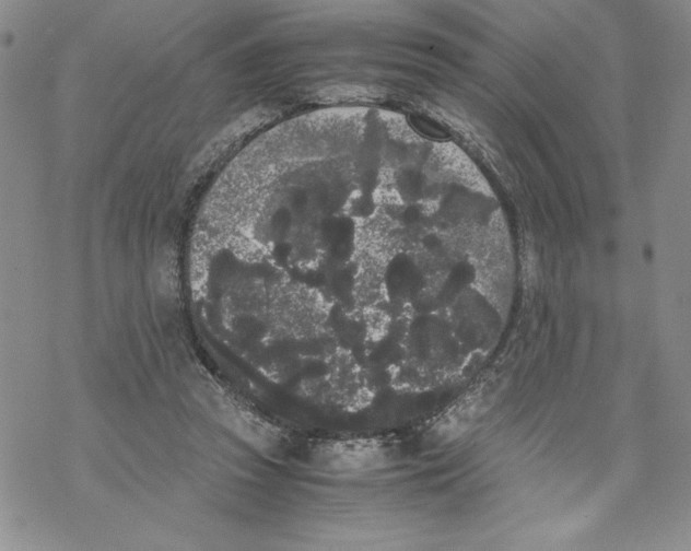 X0000069390353200606021637