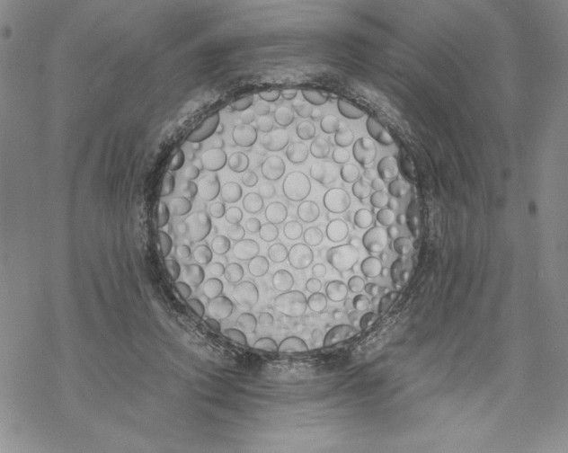 X0000069390354200606021637