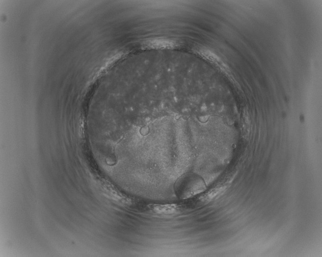 X0000069390355200606021637