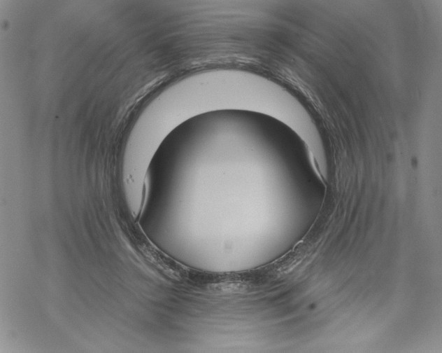 X0000069390356200606021637