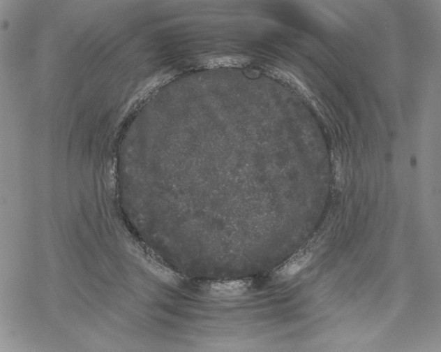 X0000069390357200606021637