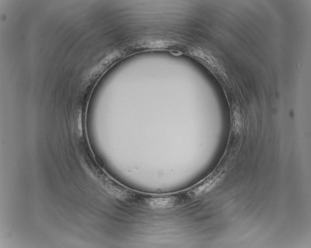 X0000069390358200606021637