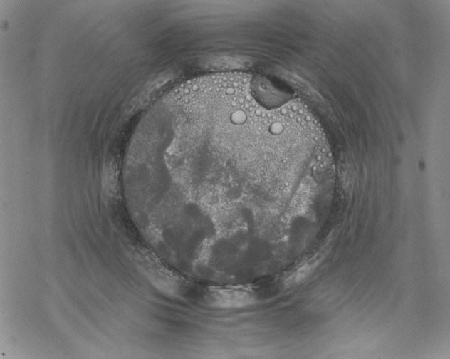 X0000069390359200606021637