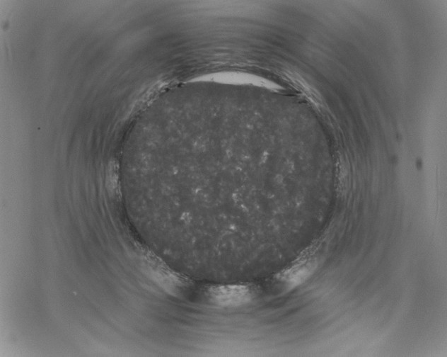 X0000069390361200606021637