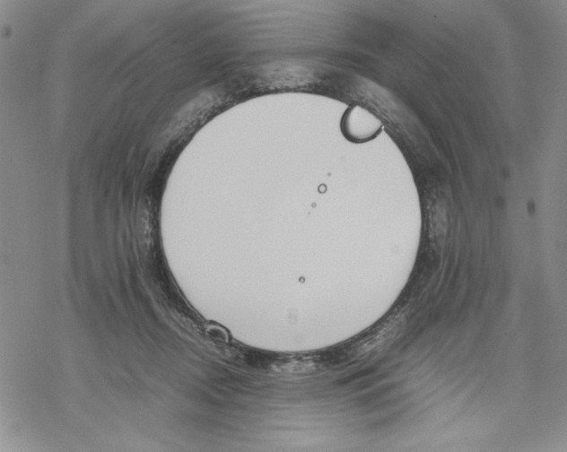 X0000069390362200606021637