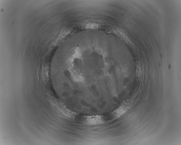 X0000069390363200606021637