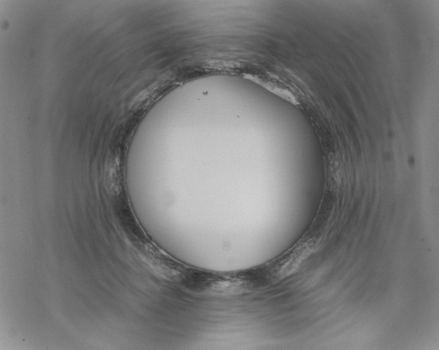 X0000069390364200606021637