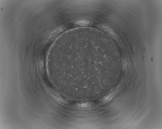 X0000069390365200606021637