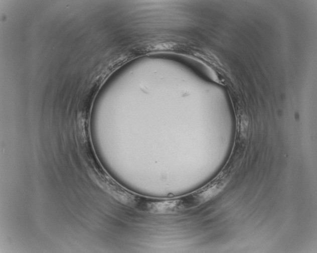 X0000069390366200606021637