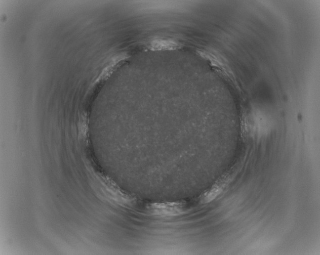 X0000069390367200606021637