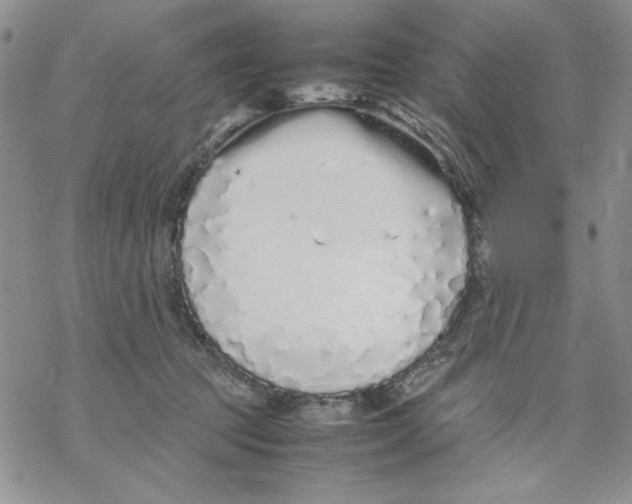 X0000069390369200606021637