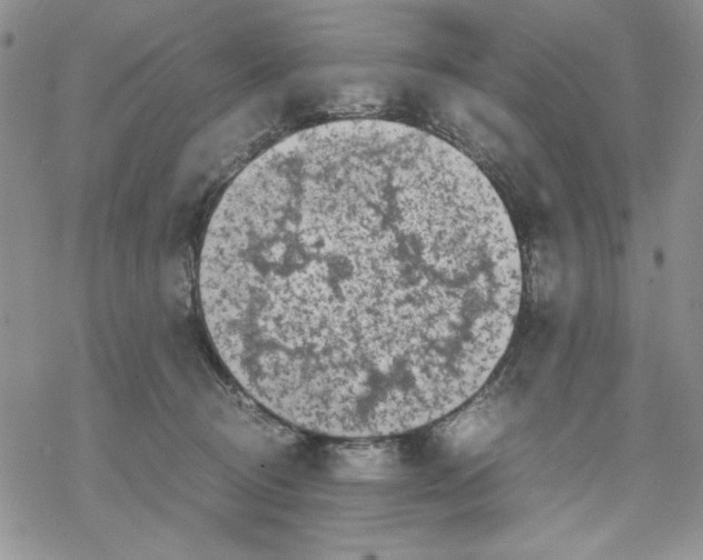 X0000069390370200606021638