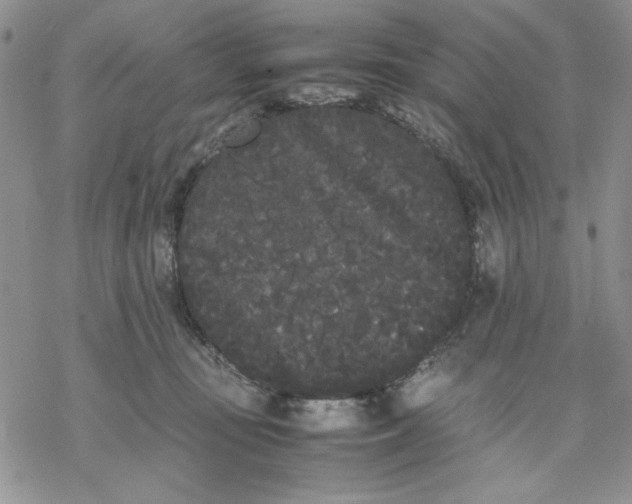 X0000069390371200606021638