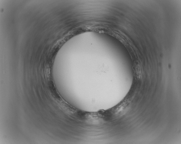 X0000069390372200606021638